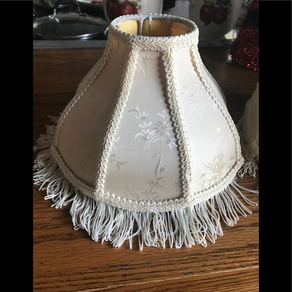Rare Vintage Victorian 1970’s Lamp Shade‼️FINAL SALE